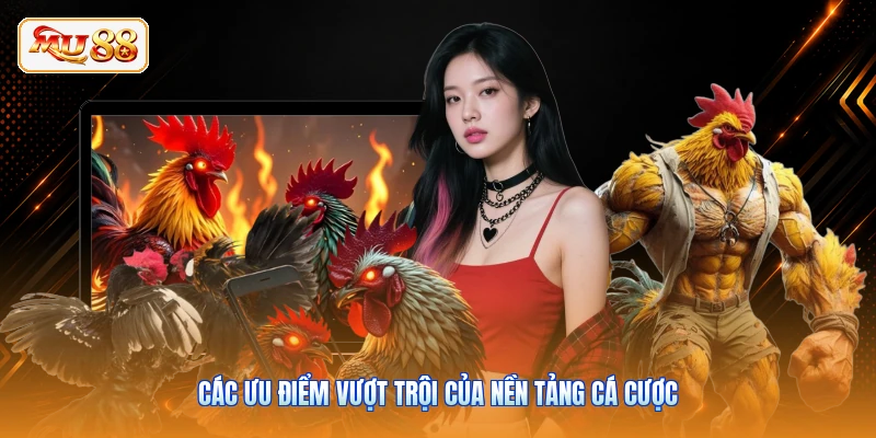 Các ưu điểm vượt trội của nền tảng cá cược