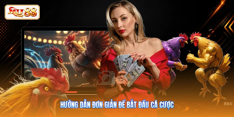 Hướng dẫn đơn giản để bắt đầu cá cược