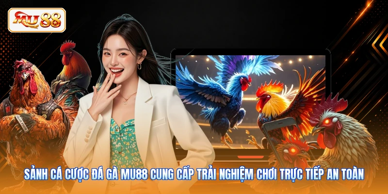 Sảnh cá cược đá gà MU88 cung cấp trải nghiệm chơi trực tiếp an toàn